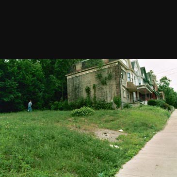 Black Street Sculpture Garden